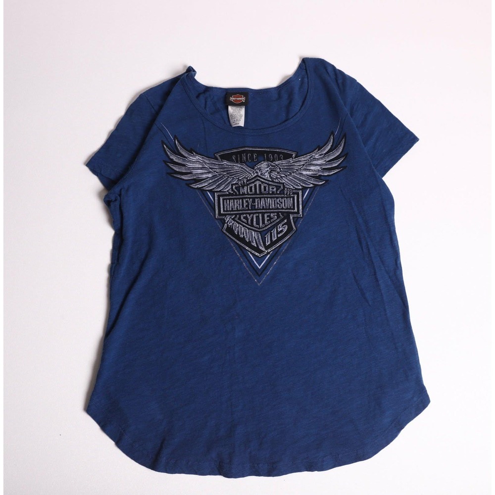 Harley-Davidson 115th Anniversary Shirt Blue Viking Land MN Eagle Graphic Large